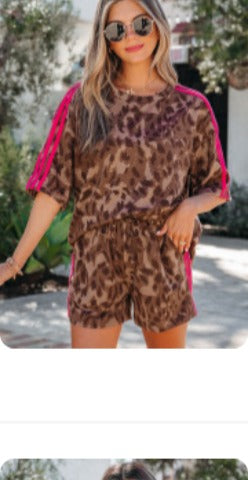 Brown Contrast Striped Accent Leopard Set